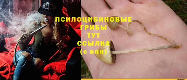 стаф Балабаново